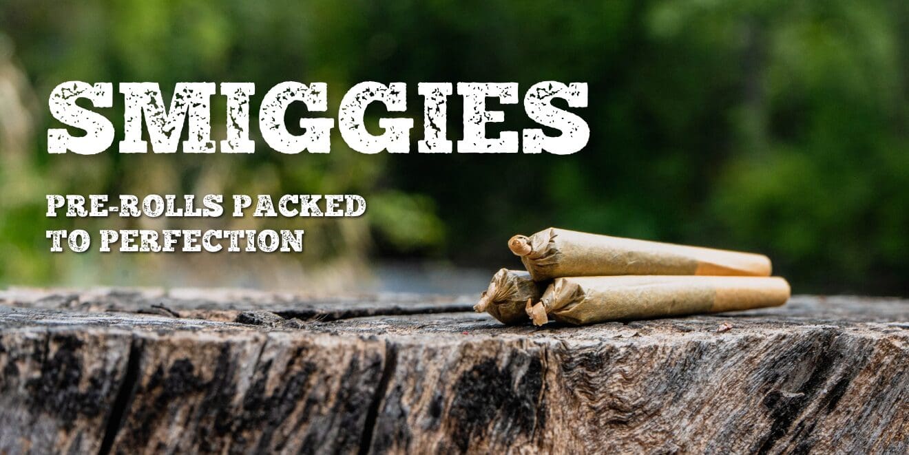 Smiggies are cannabis pre-rolls by Chillbilly made in Canada. Available in British Columbia, Ontario, Alberta and more.